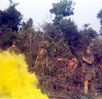 Robert Brandsfield 70-71