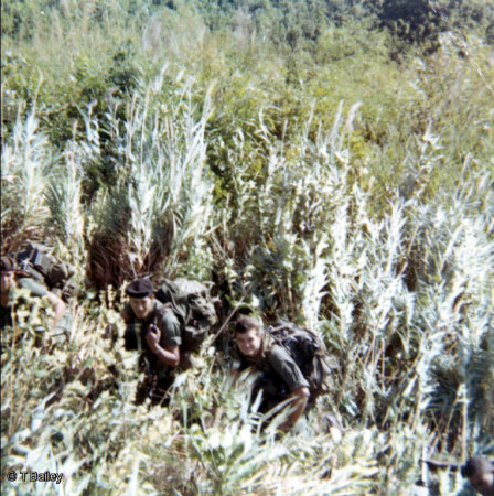 In the bush - Recondo 1967-8 (T. Bailey)